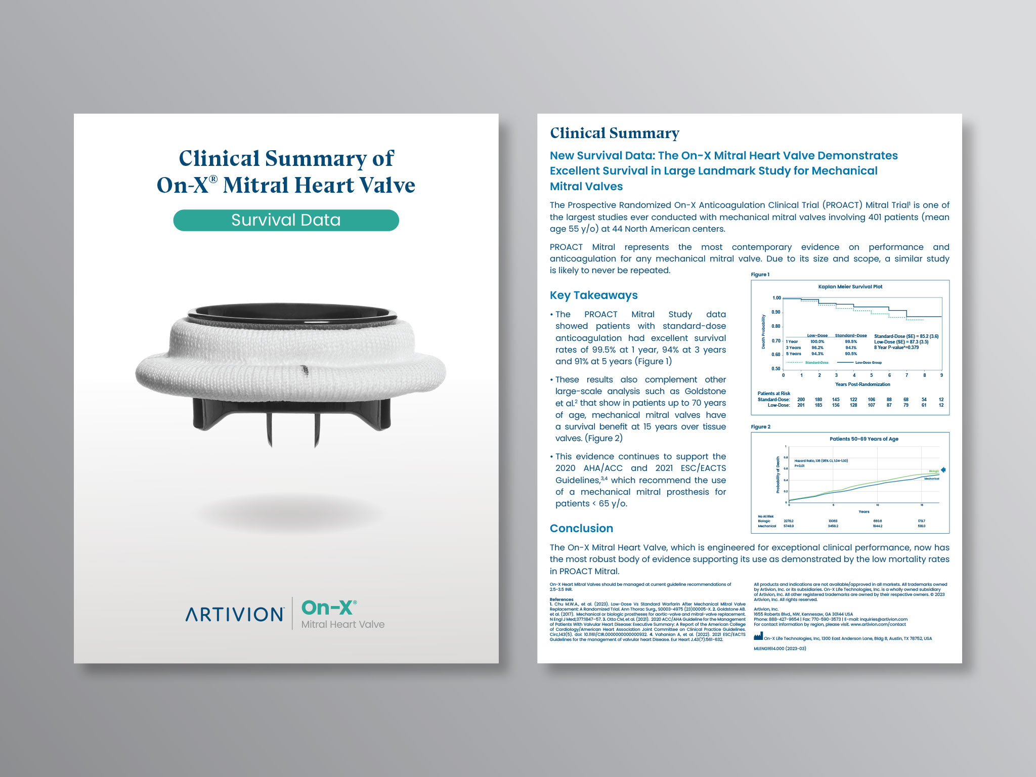 Mock-up-Clinical-Summary